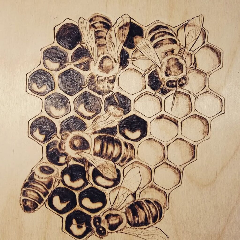 1000008043 1024x1024