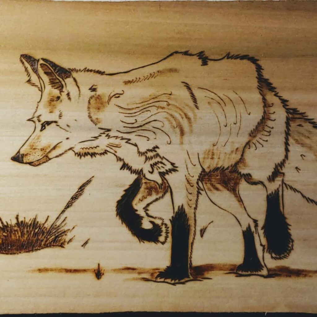 1000008046 1024x1024